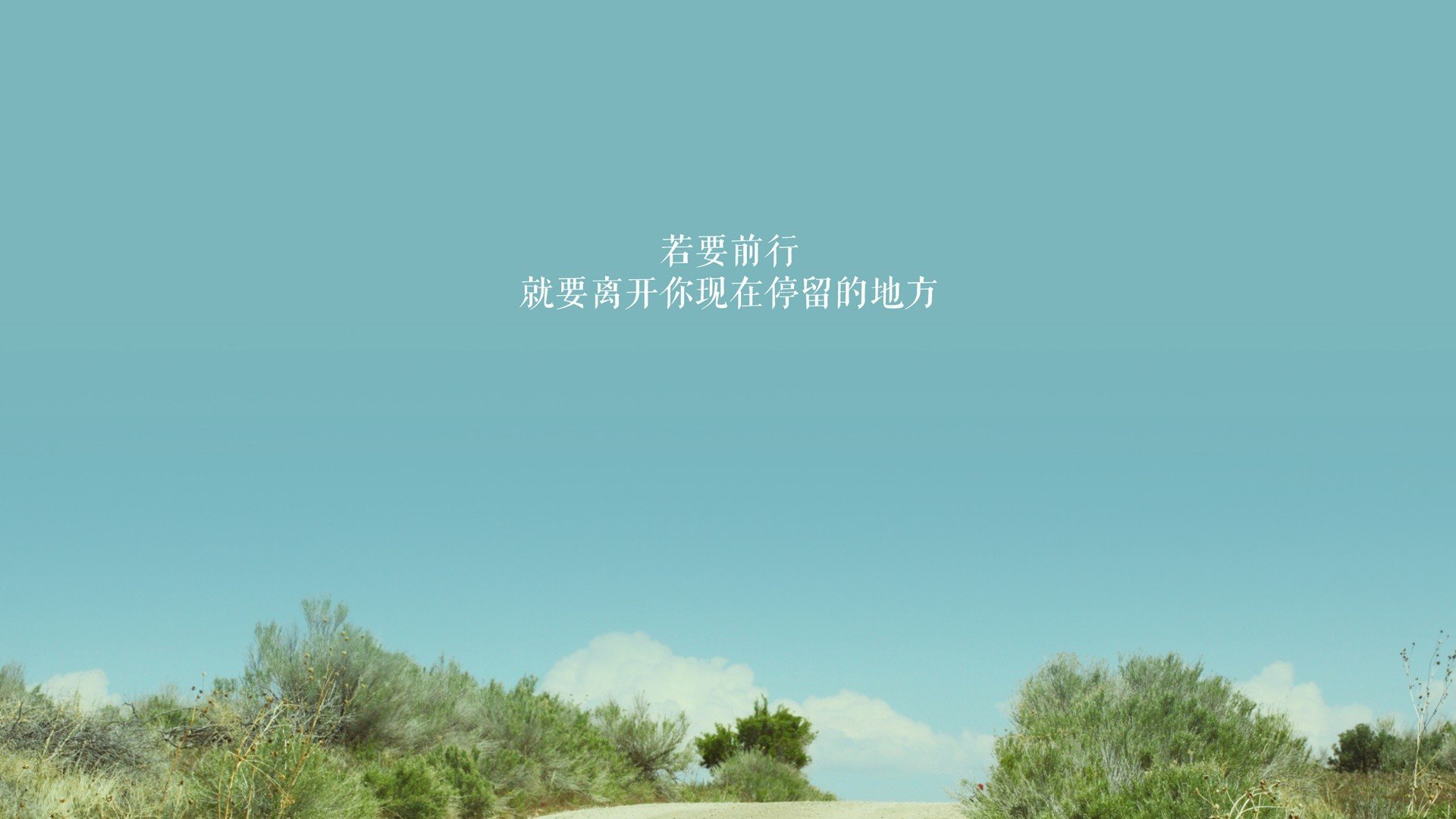 常见真丝面料有哪些种类(真丝面料有几种叫法)
