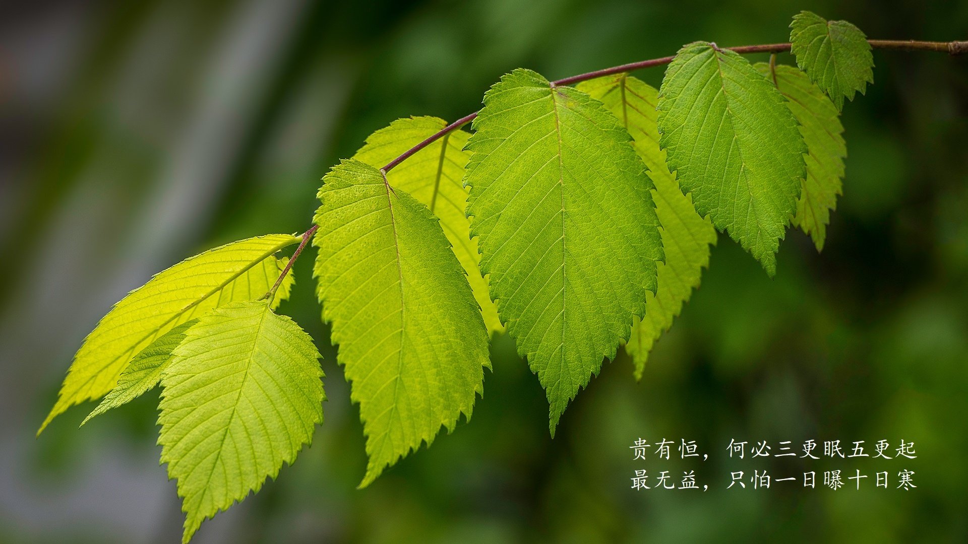 丝绸质感的布料有哪些品牌好(丝绸面料哪种好)