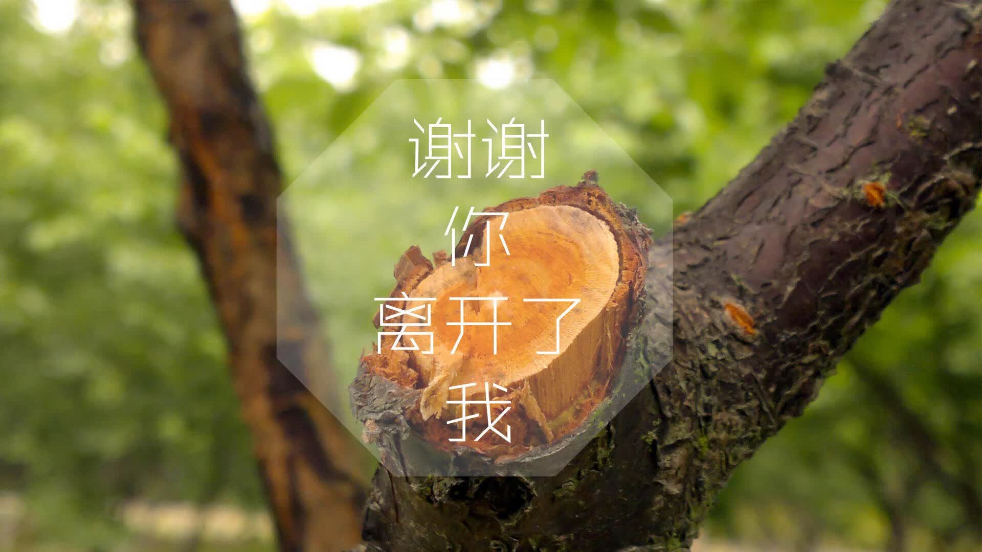 黑色丝绸布料有哪些种类图片大全(黑色丝绸布料有哪些种类图片大全集)